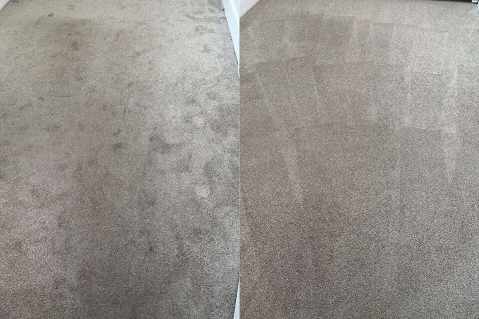 Before & After carpet cleaning